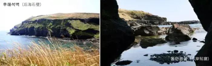【濟州島牛島攻略】這樣玩最省錢!