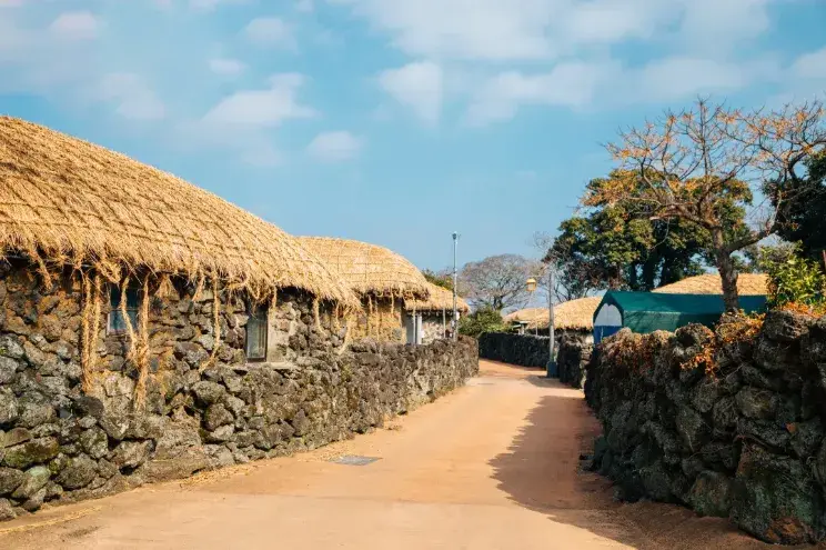 【濟州島旅行全攻略】交通、美景、美食一篇看夠