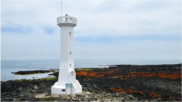 【濟州島旅行全攻略】交通、美景、美食一篇看夠