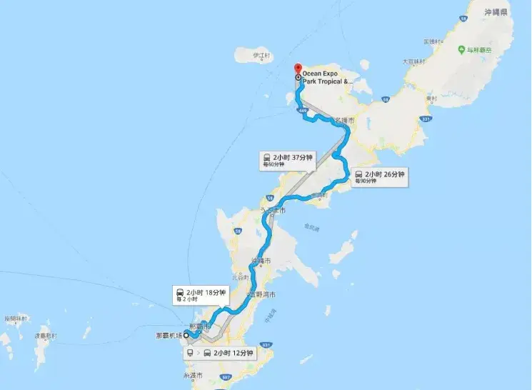 沖繩海洋博公園攻略:親子旅遊首選勝地