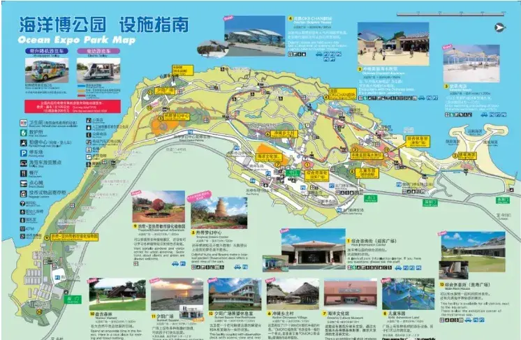 沖繩海洋博公園攻略:親子旅遊首選勝地